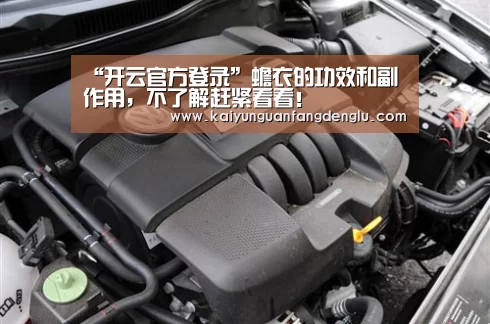 开云官方登录
