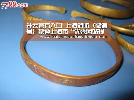 开云官方入口_上海消防(微信号)获评上海市“优秀网站提名网站”(图2) 开云官方入口