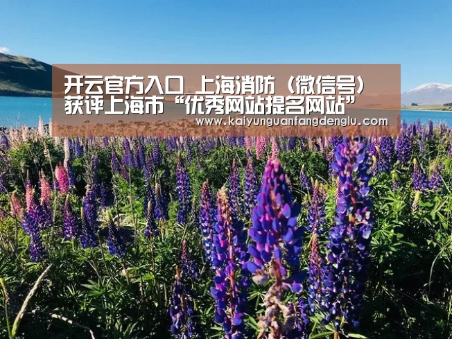 开云官方入口_上海消防(微信号)获评上海市“优秀网站提名网站”(图1) 开云官方登录
