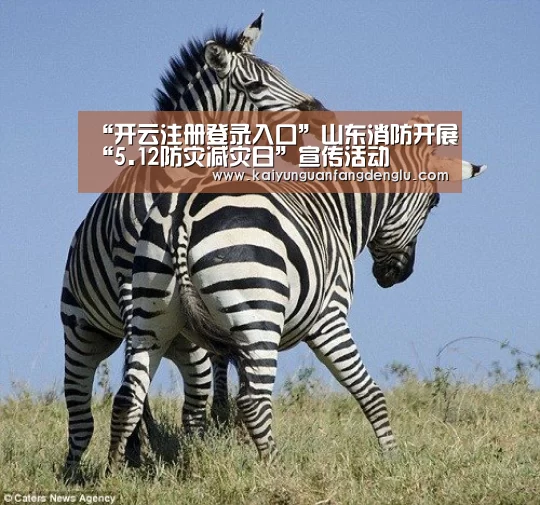 “开云注册登录入口”山东消防开展“5.12防灾减灾日”宣传活动(图4) 开云官方登录官网