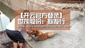 【开云官方登录】世茂股份:拟发行25亿元公司债券(图1) 开云官方登录官网