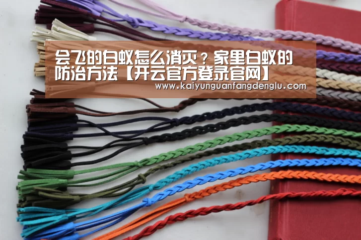 会飞的白蚁怎么消灭?家里白蚁的防治方法【开云官方登录官网】(图2) 开云官方登录