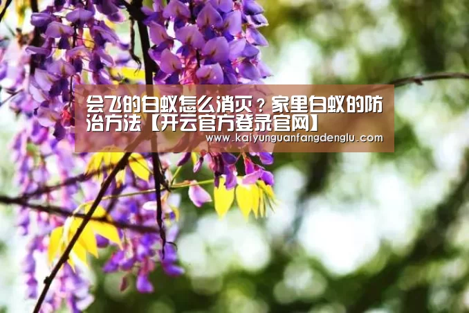 会飞的白蚁怎么消灭?家里白蚁的防治方法【开云官方登录官网】(图3) 开云官方登录官网