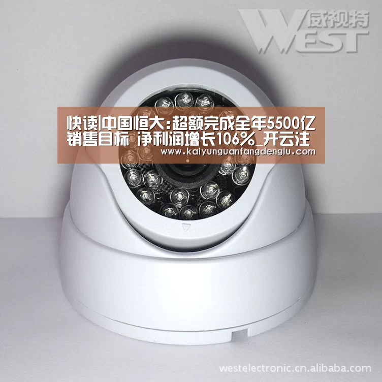 快读|中国恒大:超额完成全年5500亿销售目标 净利润增长106%_开云注册登录入口(图2) 开云注册登录入口