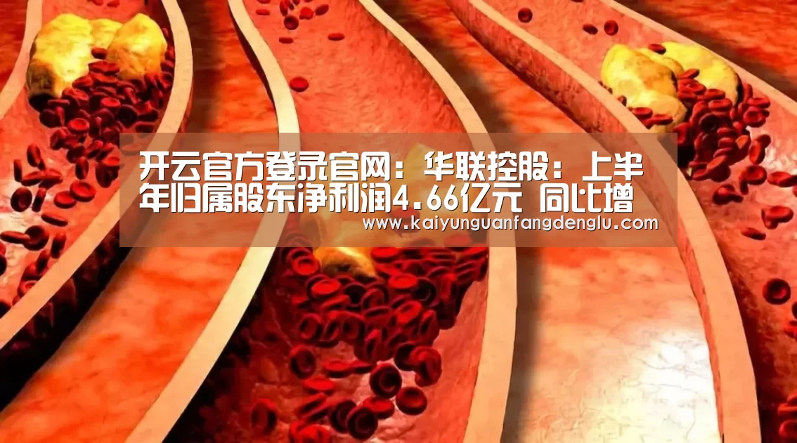 开云官方登录官网:华联控股:上半年归属股东净利润4.66亿元 同比增长22.38%(图3) 开云官方登录官网